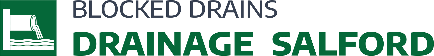 website logo